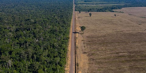 FILE - In this Nov. 25, 2019 file photo, highway BR-163 stretches between the Tapajos National Forest, left, and a soy field in Belterra, Para state, Brazil. (Photo | AP)