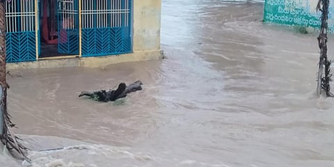 Rajampet town in Kadapa district is flooded. (Photo| EPS)