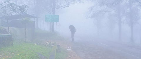 Ponmudi is yet to open for tourists as heavy rain damaged road connectivity | Vincent Pulickal