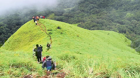 Jenukallu Gudda in Sakleshpur
