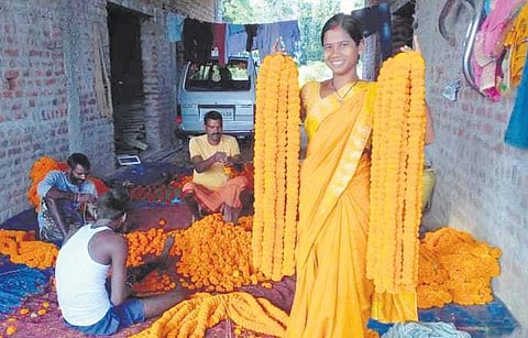 After trying their hands at traditional farming, these women have seen their fortunes change ever since they started the cultivation of marigold. (Photo| EPS)