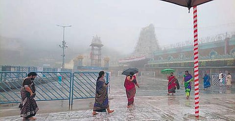 Pilgrims at Tirumala temple amid rains (Photo I Express)