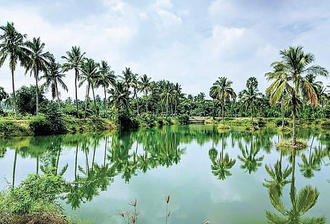 Image used for representational purpose only.