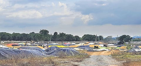 Owing to delay in procurement, farmers leave heaps of paddy at a market yard in erstwhile Warangal district.