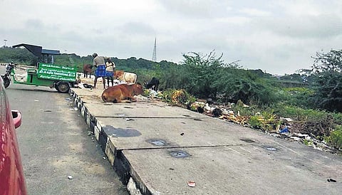 Sanitary workers from Nazarathpet dumping garbage along the service road of the bypass. (Photo | Express)