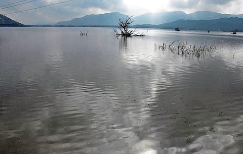 A fully-filled Rayalacheruvu tank near Tirupati | Madhav K