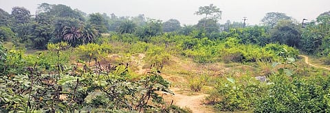 The site identified for the new bus terminal in ward no 22 of Baripada town. (Photo | Express)