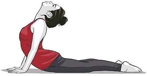 express Illustration