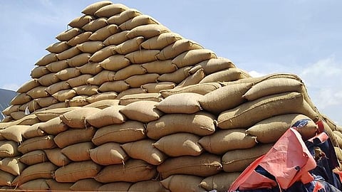 As of Thursday, 11,22,699 metric tons of paddy was procured from 1,61,568 farmers at a cost of Rs 2,584.62 crore.