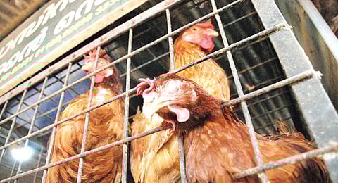 Image used for representational purpose only.