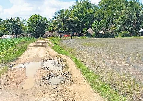 The mud road ahead of the Irular settlement in Villupuram | Express