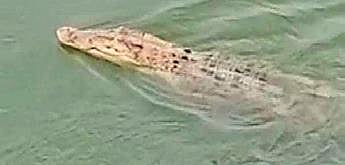 Representational image (File photo| EPS)