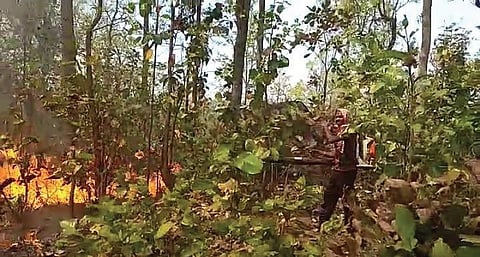 The villages have been identified on the basis of repeat forest fire alarms received in the last three years.