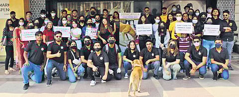 Perroayuda Welfare Foundation’s volunteers have conducted stray feeding drives in Central Park at Connaught Place