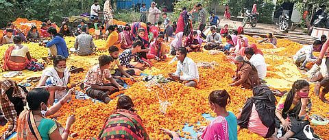 Workers prepare scores of garlands largely from marigold flowers ahead of Diwali at the Ghazipur wholesale flower market. (Photo| Parveen Negi, EPS)