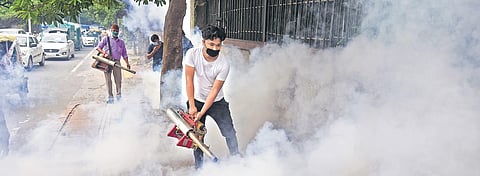 A North Delhi MCD worker carries out fumigation as preventive measure against vector-borne diseases of dengue, malaria and chikungunya. (Photo | Parveen Negi, EPS)