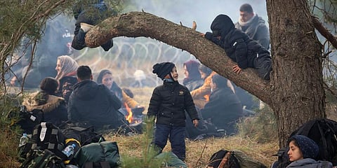 Migrants from the Middle East and elsewhere rest on the ground as they gather at the Belarus-Poland border near Grodno, Belarus. (Photo | AP)