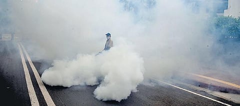 The most number of dengue cases are being reported by the south civic body followed by the north and east corporations.