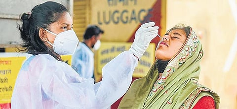 The results of 12 out of 17 samples sent for genome sequencing were released