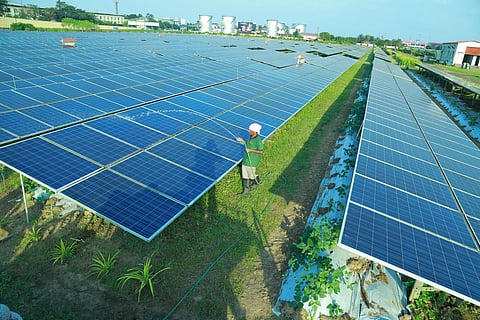 CIAL’s agri-voltaic farm near the cargo terminal of the airport (Photo | Special arrangement)