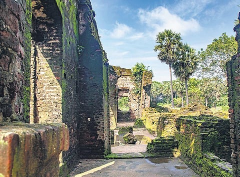 A view of the Arikamedu archaeological site. (Photo | PATTABI RAMAN)