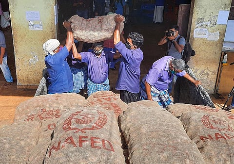 The government pleader submitted that the state is going to amend the Headload Workers Act. (File | EPS)