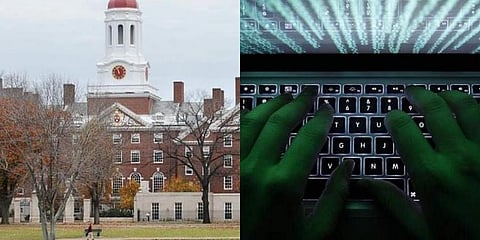 Female journalists have been targeted by online scammers with promises of prestigious jobs at Harvard.