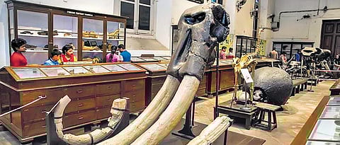 More than 600 posts vacant in museums across India, Centre informs Rajya Sabha