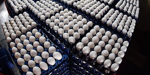 For representational purposes (Photo | EPS)