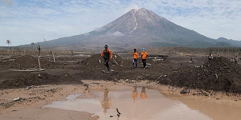 Rescuers walk on an area affected by the eruption of Mount Semeru, background, during a search for victims in Lumajang, East Java, Indonesia, Wednesday, Dec. 8, 2021. (Photo | AP)
