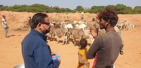 A study has found out that donkey population in India is on the decline. (Photo | Express)