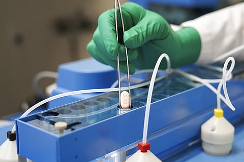 This image provided by Pfizer in October 2021 shows the company's COVID-19 Paxlovid pills. (Photo | AP)