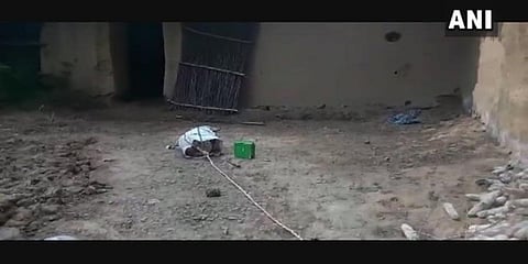 For representational purposes (Photo | ANI)