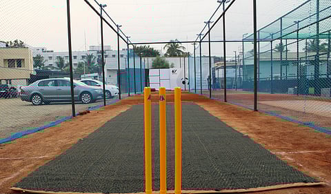 Image of cricket stumps used for representational purpose