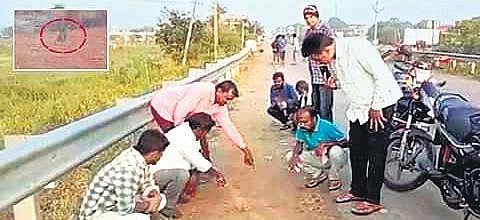 Villagers identify pug marks of a leopard near Sonala village in erstwhile Adilabad district. (Photo| EPS)