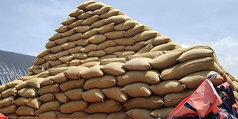 Bags of paddy piled up at a storage facility (Representational Image | EPS)