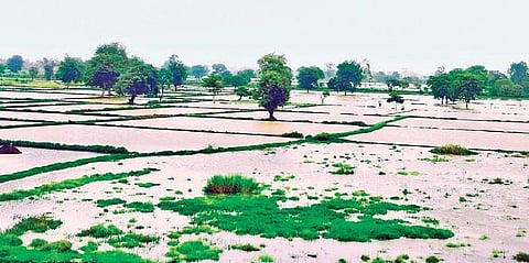 Global warming at doorstep, we need planning with climate lens