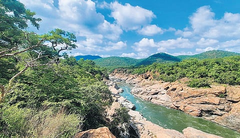 Karnataka has proposed to build a balancing reservoir across the Cauvery at Mekedatu near Kanakapura | Express