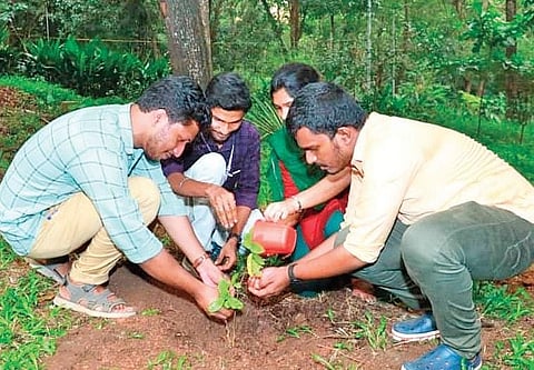 Tree Tag -- documenting trees, monitoring growth