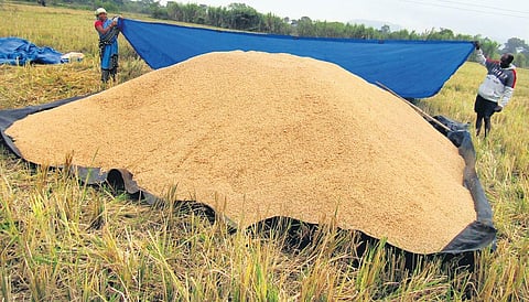 Image used for representational purpose only.