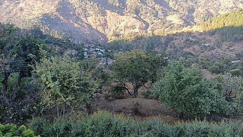 Saina village in Pauri district. (Photo | EPS)