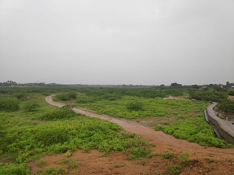All lakes in Tiruchy are almost brimming except the 174 hectares Nagauyanallur. (Photo | Express)