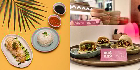 Hainanese Chicken Rice (L) and Yam Puff Bao