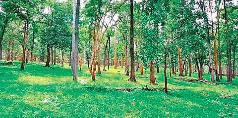 For representational purposes