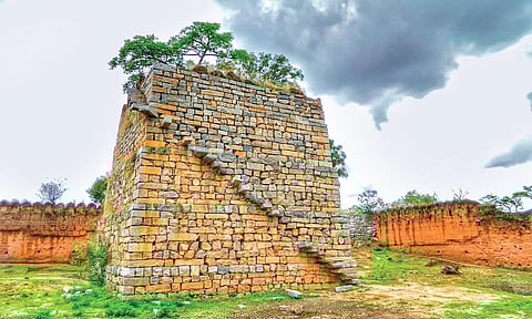 Sardar Sarvai Papanna Fort