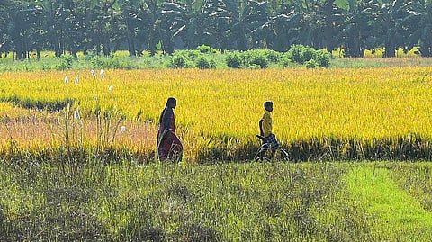 Image used for representational purposes only.