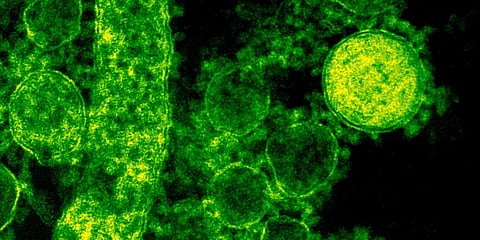 For representational purposes only