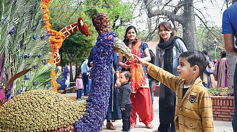 A young visitor enjoying the flower show at Garden Tourism Festival last year. (Photo | Express)
