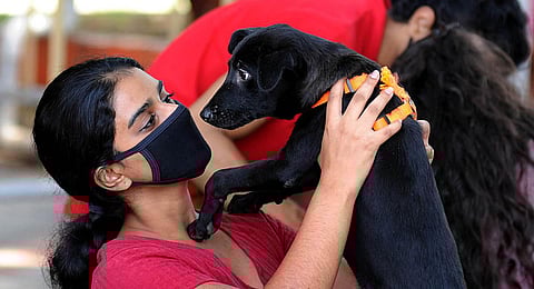 Adoption drive held by animal welfare organisation Oneness Foundation . (Photo | A Sanesh, EPS)