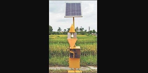 NRRI scientists develop solar device to combat pest menace